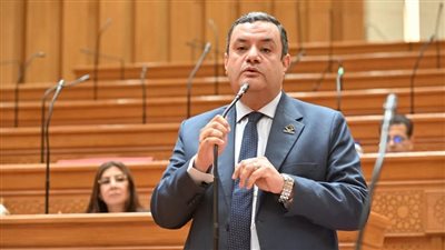 نائب بالتنسيقية يدعو لإنشاء لجنة مستقرة لحسم المنازعات الضريبية للشركات الكبرى