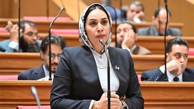 هل يفتح بند الاستثناء الباب للإعفاءات؟ جدل داخل البرلمان حول قانون أيلولة الأرباح