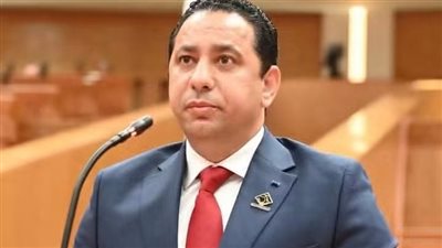 برلماني: تعظيم إيرادات الدولة لا يكتمل إلا بتحسين الخدمات ودعم المحافظات الأكثر احتياجًا
