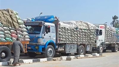 بـ348 ألف طن..ارتفاع معدلات توريد القمح في بني سويف خلال موسم الحصاد