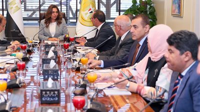منال عوض تقود قرارات جديدة لدعم الاقتصاد الأخضر والتنمية