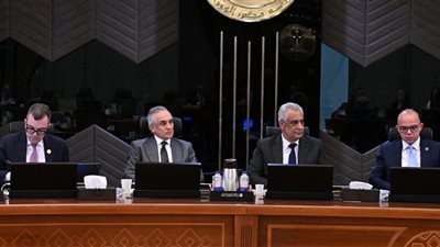 رستم: الاقتصاد المصري حقق معدل نمو 5% خلال الربع الثالث من العام المالي 2025/2026 