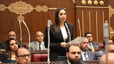 حنان وجدي: مجلس الشيوخ عزز الحوار الوطني وأرسى تقاليد برلمانية راسخة ومتطورة