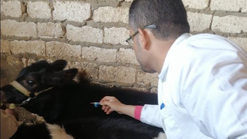 جانب من فاعليات حملة