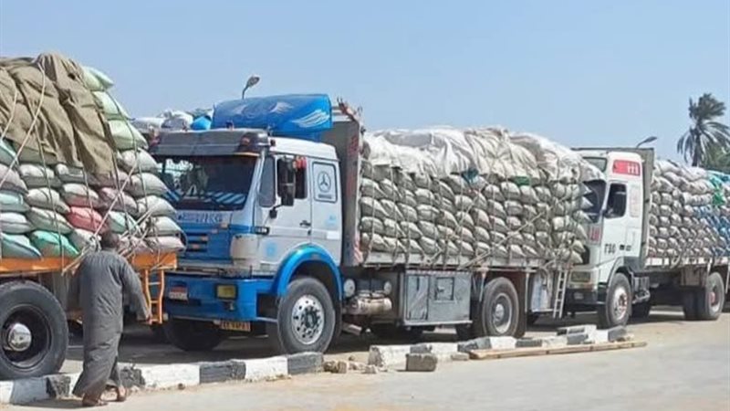 توريد 348 ألف طن