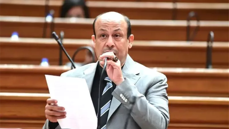 النائب سمير البيومي