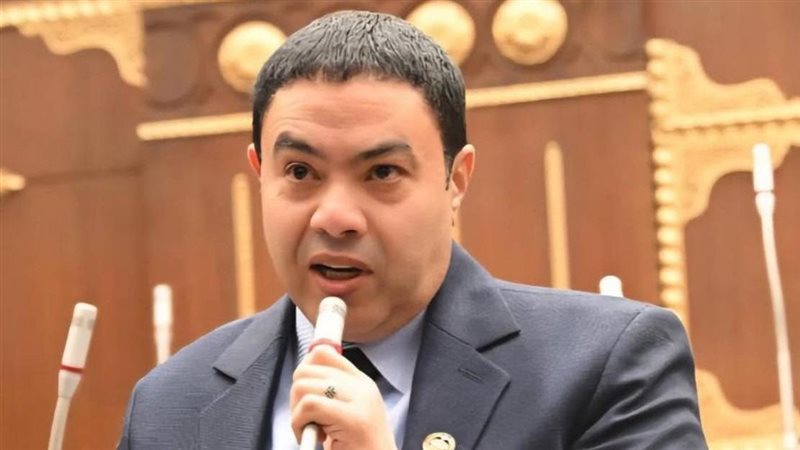 النائب إسماعيل الشرقاوي،