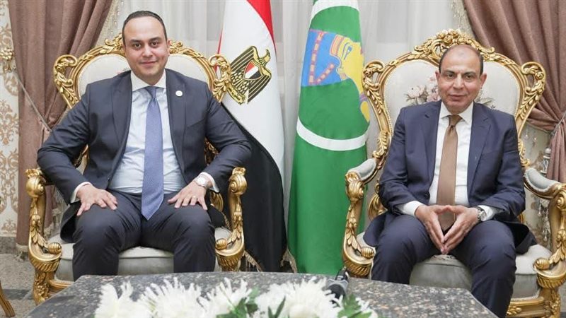 جانب من الاستقبال