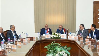 وزير الاستثمار ومحافظ الإسكندرية يبحثان تطوير منظومة التحكيم واختبارات القطن