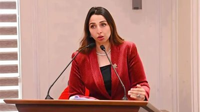 نشوى الشريف تنقل أزمة العاملين بشركة النيل إلى البرلمان.. و«اقتصادية النواب» تناقش الملف غدًا