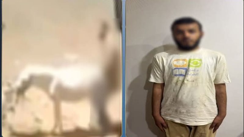 المتهم والواقعة