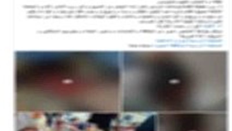 المنشورات