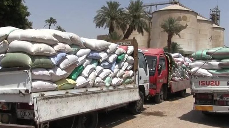 توريد القمح بسوهاج