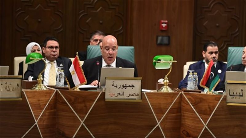 المستشار هشام بدوي،