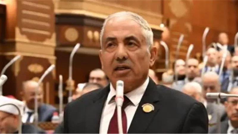 النائب أحمد العوضي،