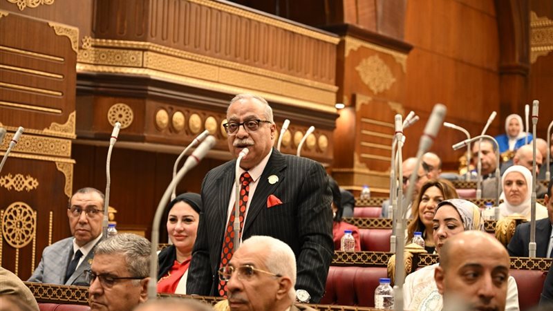 النائب حسني عطية