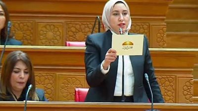 صافيناز دراج تطالب الحكومة بحسم أزمة العدادات الكودية وإنهاء تعقيدات التصالح قبل يوليو