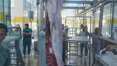 تشغيل تجريبي لمجزر قلمشاة بالفيوم بعد تطويره باستثمارات 27 مليون جنيه