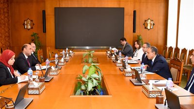 وزيرا الخارجية والعمل يبحثان خطة شاملة لتعزيز فرص العمالة المصرية بالخارج