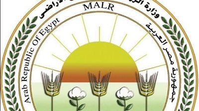 الزراعة: عمليات الحصر الفعلي لزراعات القطن للموسم الجديد 2026/2027 لا تزال جارية