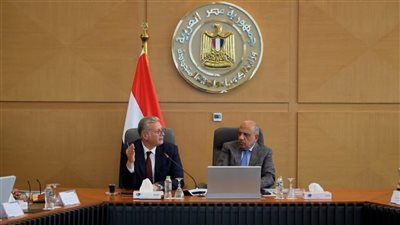 إنجازات بقطاع الكهرباء.. توسع في الطاقة المتجددة وتخزين الطاقة بالبطاريات