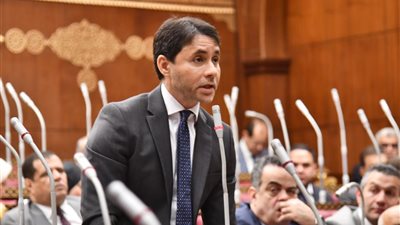 برلماني: إرادة المصريين في 30 يونيو صنعت دولة قوية قادرة على مواجهة التحديات