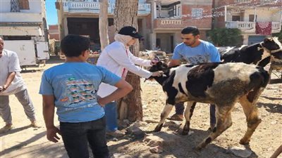 620 رأس ماشية وطيور تستفيد من قافلة بيطرية مجانية بقرية بويط بالبحيرة