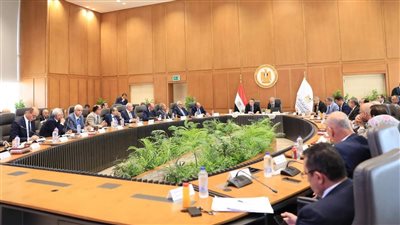 جامعة المنصورة تشارك في مناقشة خطط تطوير الجامعات الأهلية بمجلس التعليم العالي