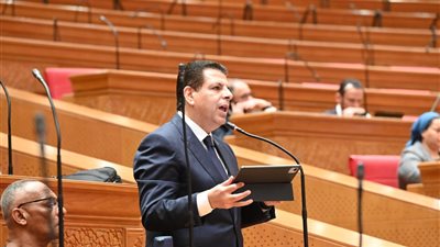 الإمام: نوافق على منحة دراسة جدوى مد الخط الأول لمترو الأنفاق لأنه أولوية للمواطن