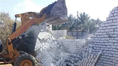 إزالة 1378 حالة تعدٍ على الأراضي في البحيرة ضمن الموجة الـ29