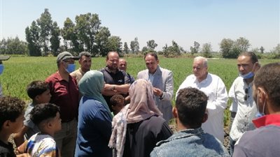 بعد وفاة سيدة وطفل.. حملة مكبرة لمكافحة الثعابين بقرية القراقرة في الشرقية