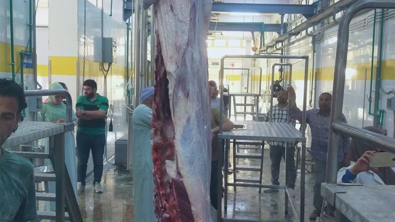 وزارة التنمية المحلية