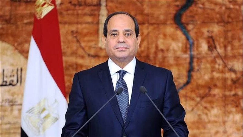 رئيس الجمهورية 