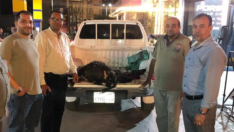 صورة المضبوطات 