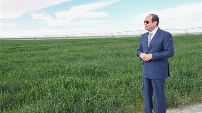 الرئيس السيسي