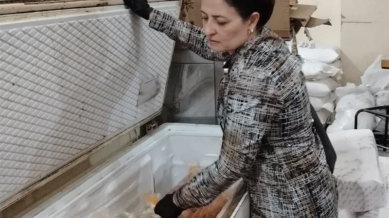 المضبوطات 
