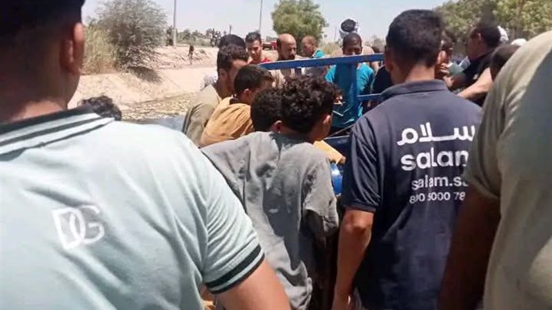 تفصيلة