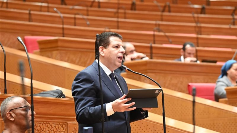 النائب محمود سامي،