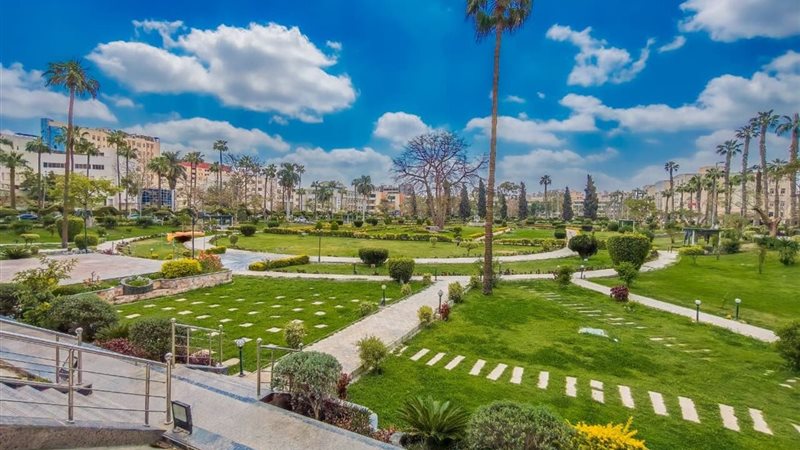 جامعة المنصورة 