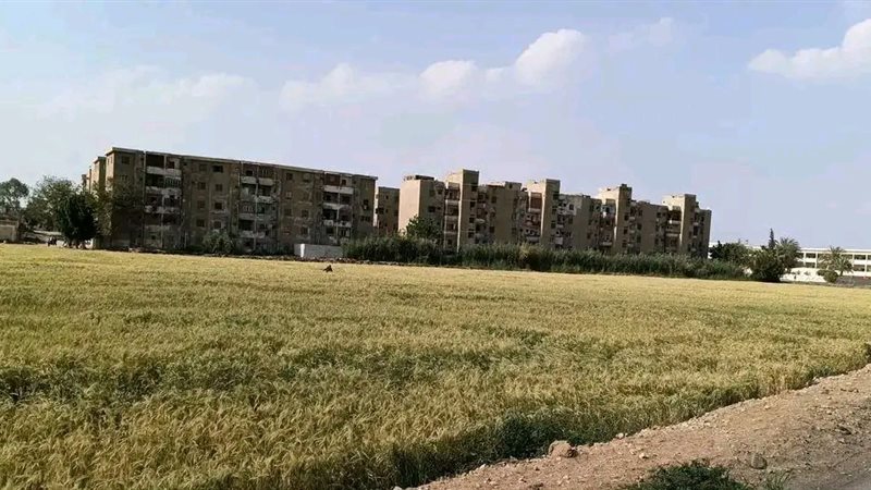 أرض لإنشاء مستشفى