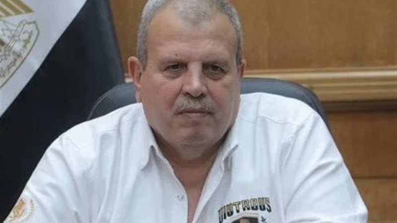 المهندس محمد عامر