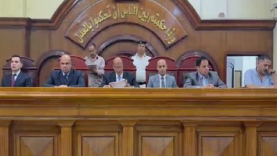 الإعدام والمؤبد لـ6 متهمين في قضية مقتل ربة منزل بالشرقية