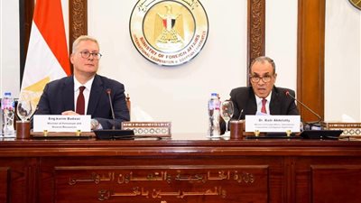 وزيرا الخارجية والبترول يعقدان جلسة إحاطة مع ممثلي السفارات الأجنبية في مصر 