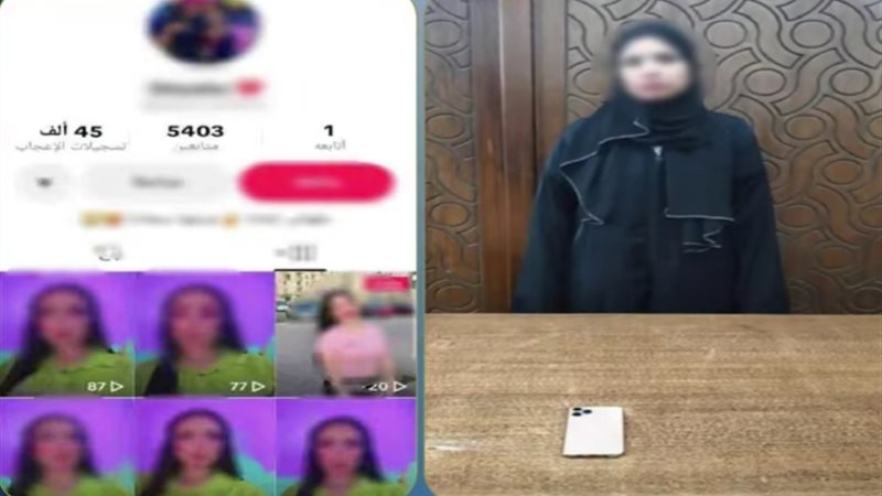 صانعة المحتوى 