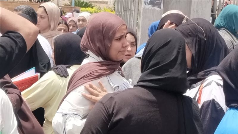 الاسكندريه 