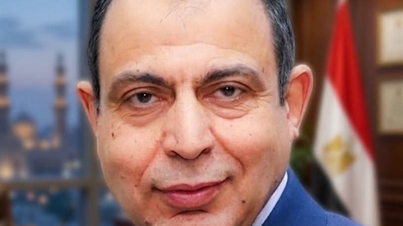 محافظ المنيا 