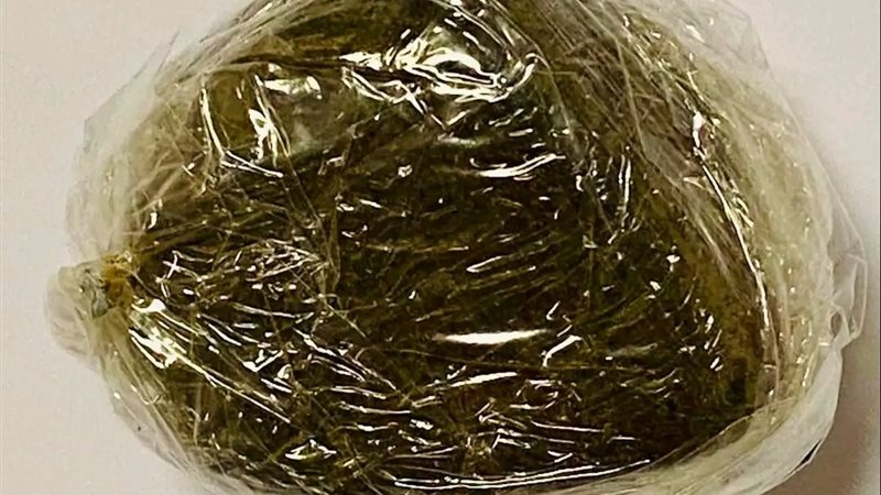 المضبوطات