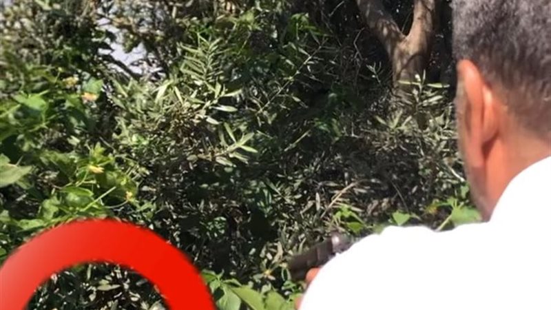 جانب من الواقعة 