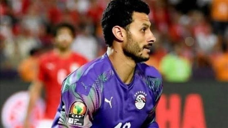 محمد الشناوي 