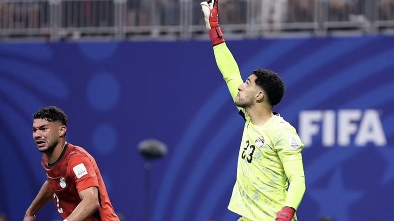 مصطفى شوبير 